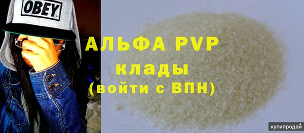 индика Алексин