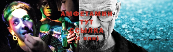 индика Алексин