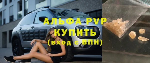 ECSTASY Алзамай