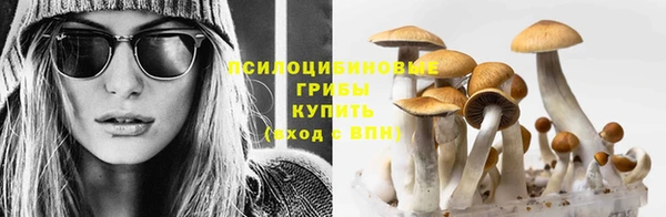 ECSTASY Алзамай
