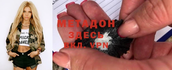индика Алексин