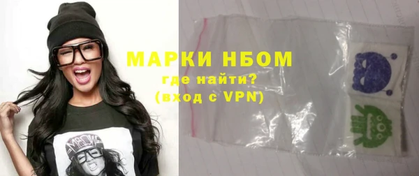 индика Алексин