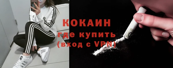 индика Алексин