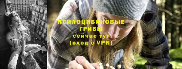 индика Алексин