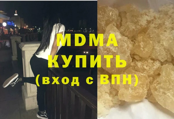 индика Алексин