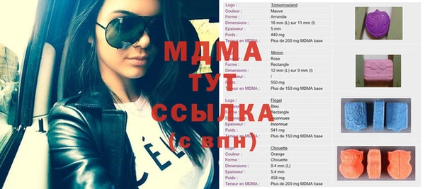индика Алексин
