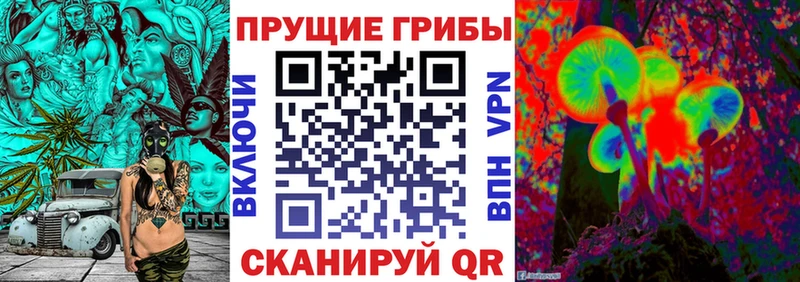 где можно купить наркотик  Алексин  blacksprut ссылка  Псилоцибиновые грибы Magic Shrooms 